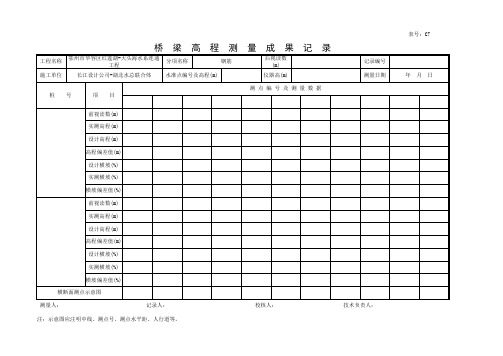 桥梁高程测量成果记录