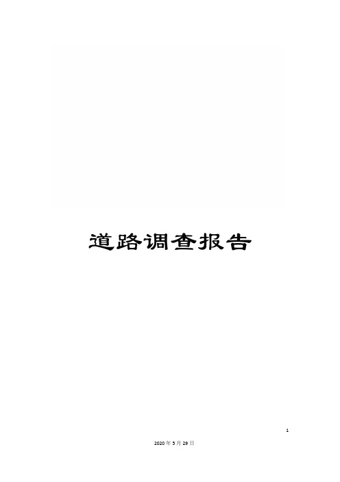 道路调查报告