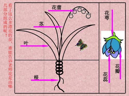 人美版小学美术二年级上册《茂密的花》课件