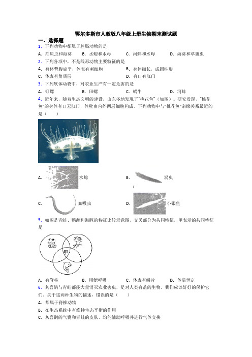 鄂尔多斯市人教版八年级上册生物期末测试题