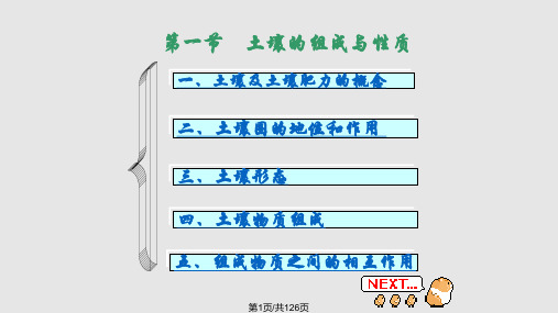 自然地理学土壤圈PPT课件