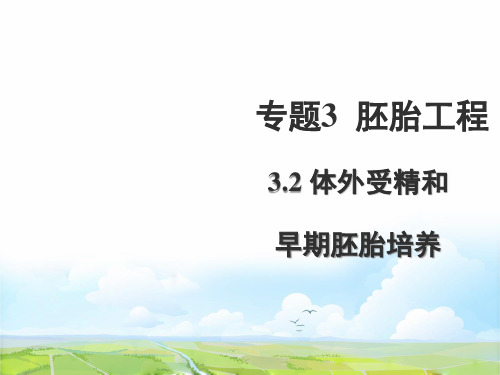 高中生物选修3精品课件6：3.2 体外受精和早期胚胎培养