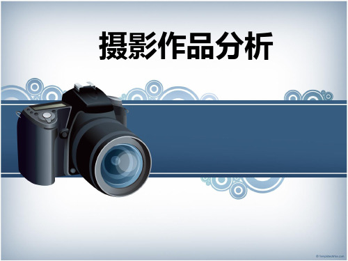 摄影作品分析(01).