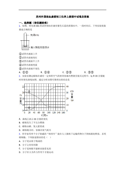 苏州外国语血虚爱初三化学上册期中试卷及答案