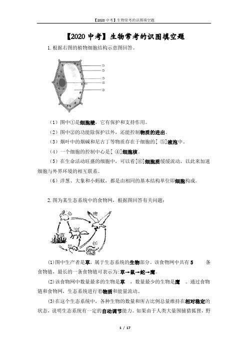 【2020中考】生物常考的识图填空题