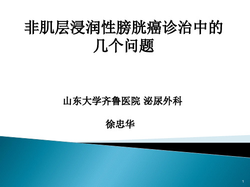 非肌层浸润性膀胱癌诊治中的几个问题解析