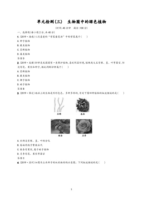 2020年中考生物总复习单元检测三生物圈中的绿色植物(含答案)