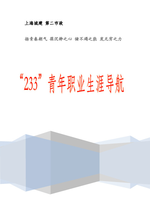 233青年职业生涯导航