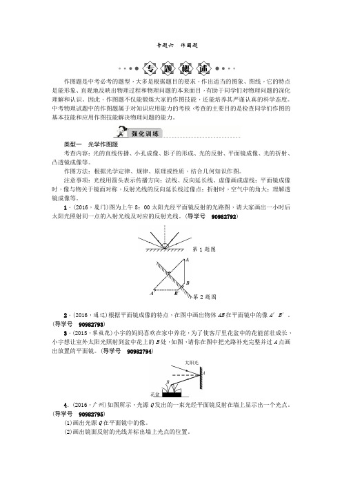 2017届中考精英中考物理复习(四川)_专题六 作图题