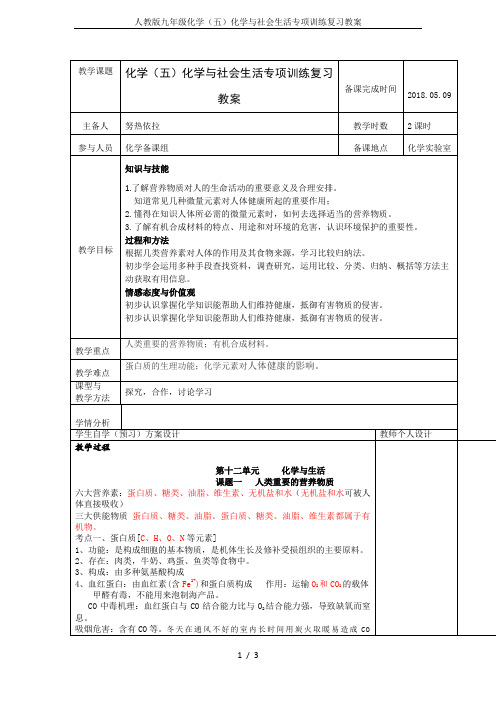 人教版九年级化学(五)化学与社会生活专项训练复习教案