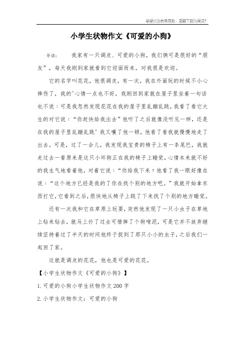 小学生状物作文《可爱的小狗》