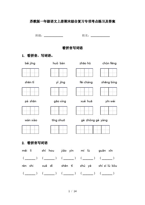 苏教版一年级语文上册期末综合复习专项考点练习及答案