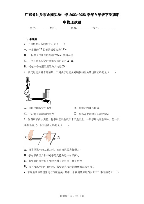 广东省汕头市金园实验中学2022-2023学年八年级下学期期中物理试题