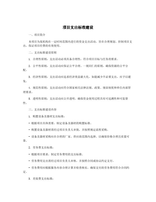 项目支出标准建设