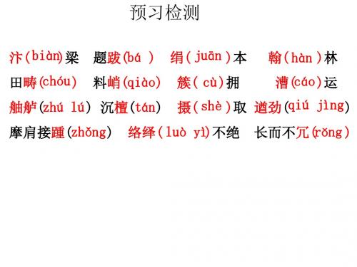 《梦回繁华》ppt课件(25页)