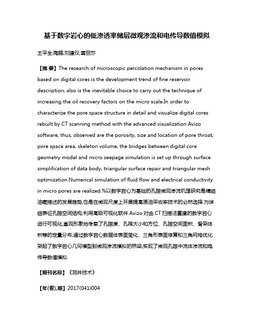 基于数字岩心的低渗透率储层微观渗流和电传导数值模拟