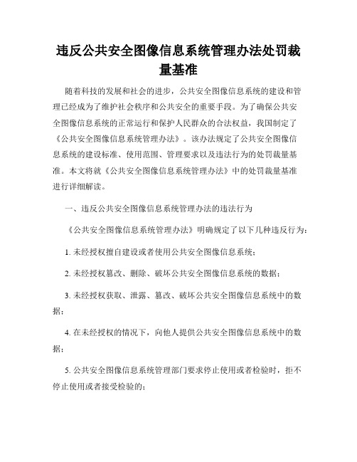 违反公共安全图像信息系统管理办法处罚裁量基准