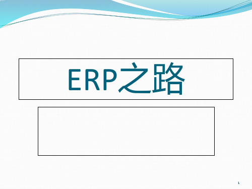 管理信息系统案例分析--ERP之路 PPT课件