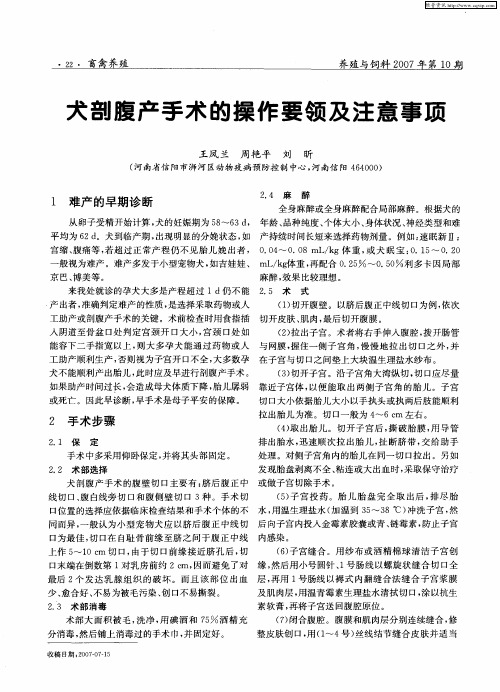 犬剖腹产手术的操作要领及注意事项