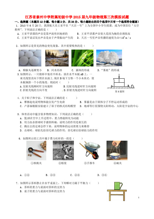 江苏省泰州中学附属初级中学九年级物理第三次模拟试题