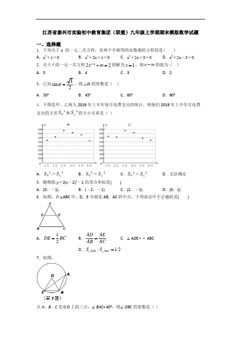 江苏省泰兴市实验初中教育集团(联盟)九年级上学期期末模拟数学试题