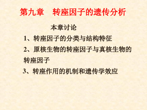 第九章 转座因子的遗传分析