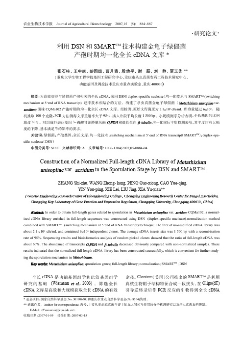 利用DSN和SMARTTM技术构建绿僵菌产孢时期均一化全长cDNA文库