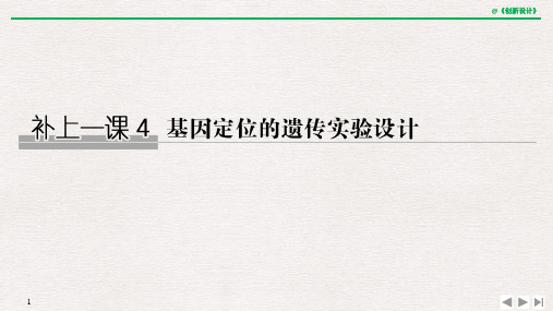 补上一课4 基因定位的遗传实验设计