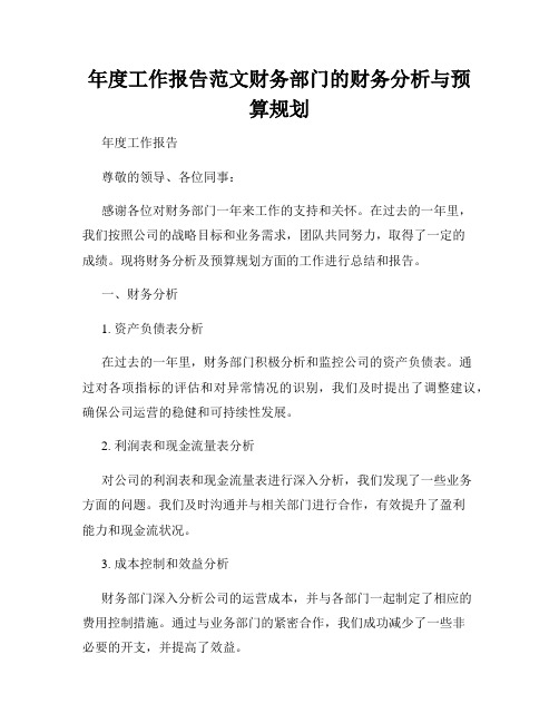 年度工作报告范文财务部门的财务分析与预算规划