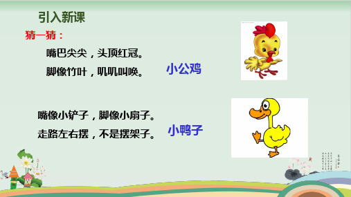 部编版小公鸡和小鸭子优秀课件ppt