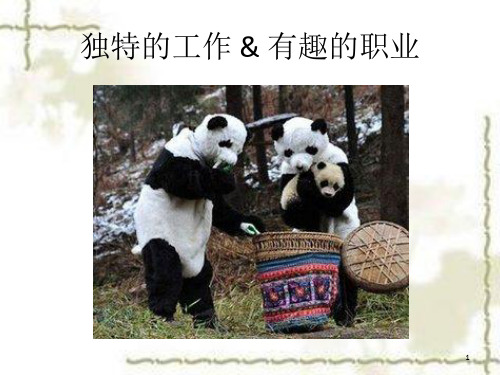十大有趣职业介绍ppt课件