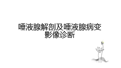 唾液腺解剖及唾液腺病变影像诊断