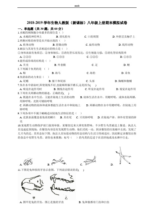 2018-2019学年生物人教版(新课标)八年级上册期末模拟试卷