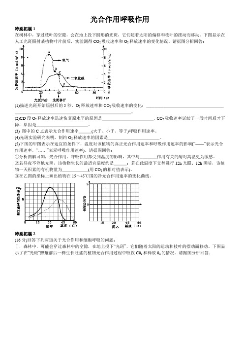 光合作用呼吸作用(含答案)