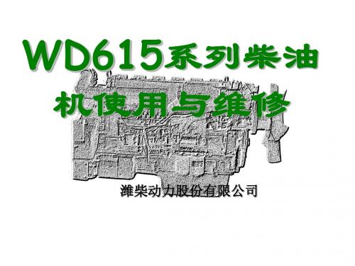 WD615机子简介以及特点参数解读