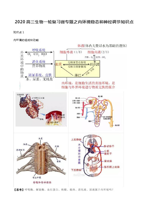 2020高三生物一轮复习微专题之内环境稳态和神经调节知识点总结