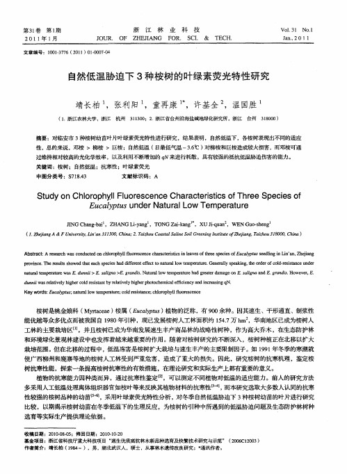 自然低温胁迫下3种桉树的叶绿素荧光特性研究