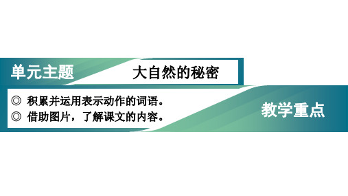 统编版二年级语文上册第一单元(教学课件)1.小蝌蚪找妈妈