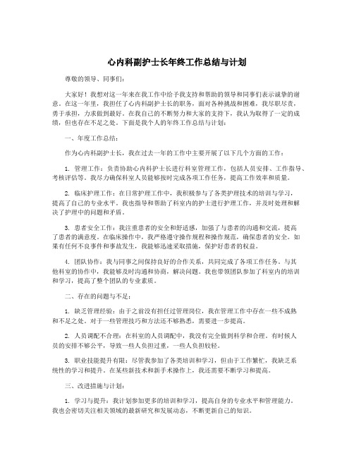 心内科副护士长年终工作总结与计划