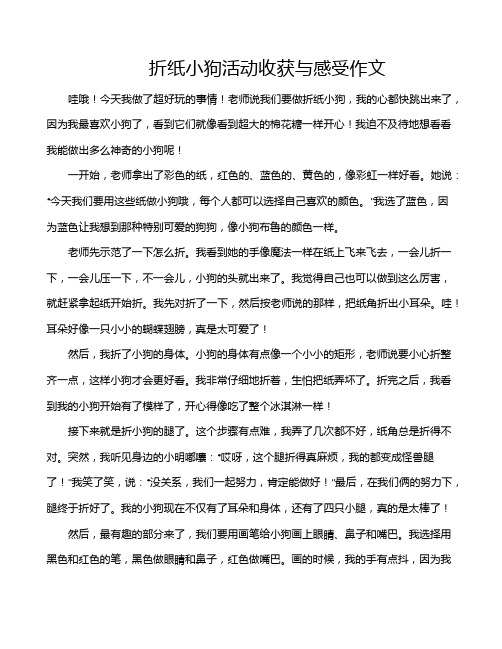 折纸小狗活动收获与感受作文