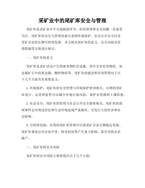 采矿业中的尾矿库安全与管理