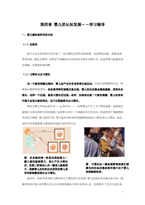 幼儿心理学第四章婴儿的认知发展