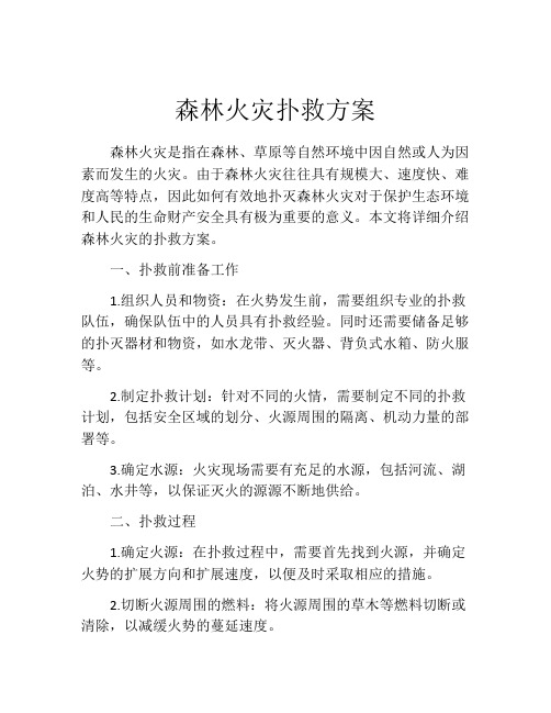 森林火灾扑救方案