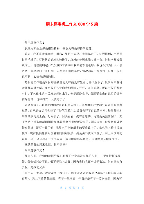 周末趣事初二作文600字5篇