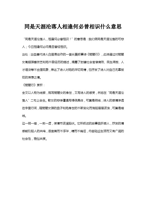 同是天涯沦落人相逢何必曾相识什么意思