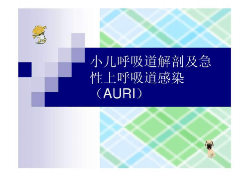 小儿呼吸道解剖及急性上呼吸道感染(AURI)课件