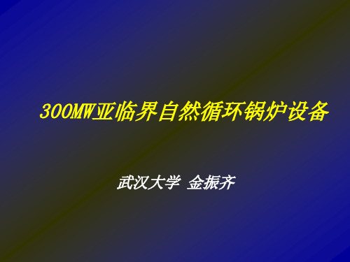 300MW亚临界自然循环锅炉设备第一章