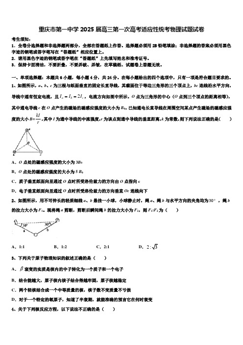 重庆市第一中学2025届高三第一次高考适应性统考物理试题试卷