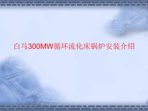 白马300MW循环流化床锅炉介绍