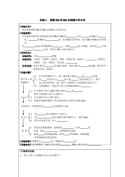 人教版必修一 第2章第3节 实验：观察DNA和RNA在细胞中的分布 学案